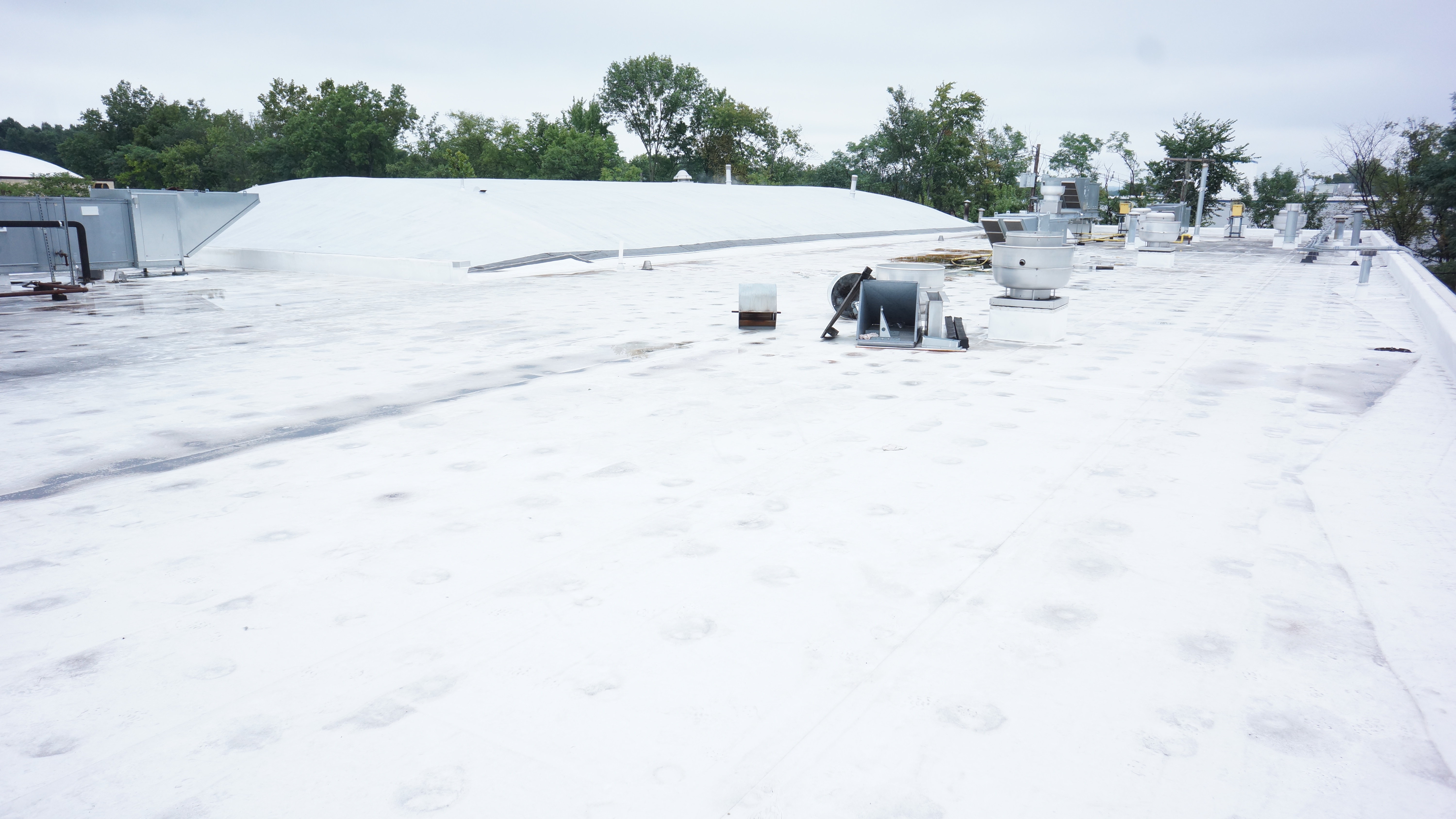 White roof 1